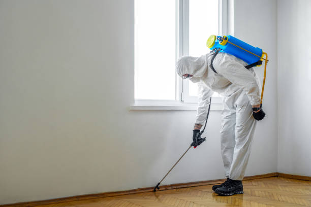 Best Affordable Pest Control Services  in Goddard, KS