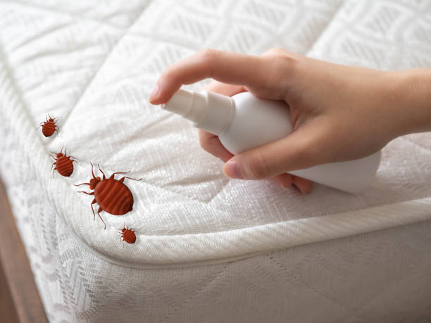 Best Local Pest Control Services  in Goddard, KS